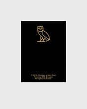 Load image into Gallery viewer, OWL PIN - BLACK
