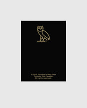 Load image into Gallery viewer, OVO OWLS PIN - GREEN
